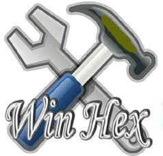 winhex 19.9 key